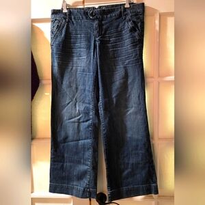 American Eagle Women's Blue Jeans